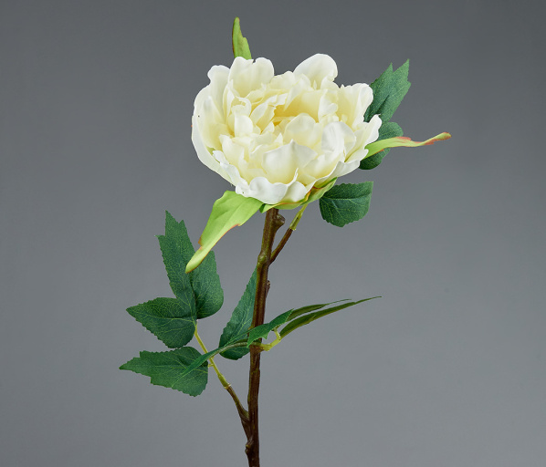 Пион 65см белый
