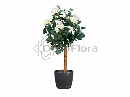 Роза дерево 90см CH10608368 белые цветы 